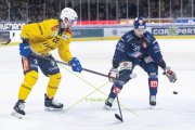 ZSC - DAVOS