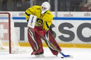 HCC - AROSA
