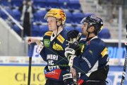 AMBRI - TIGERS