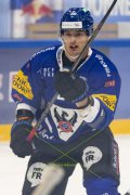 FRIBOURG - TIGERS
