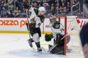 WINNIPEG - ARIZONA