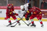 TIGERS - LAUSANNE