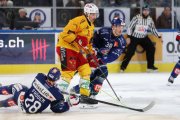 ZSC - TIGERS
