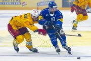 FRIBOURG - TIGERS