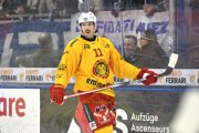 AMBRI - TIGERS