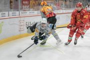 TIGERS - FRIBOURG