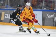FRIBOURG - TIGERS