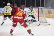 AMBRI - TIGERS