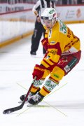 LAUSANNE - TIGERS