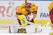 ZSC - TIGERS