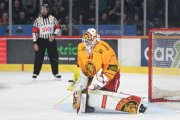 BERN - TIGERS