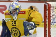 TIGERS - DAVOS