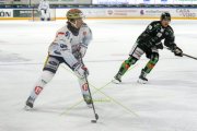 OLTEN - GCK LIONS
