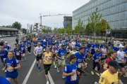 WINGS FOR LIFE WORLD RUN ZUG