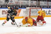 LUGANO - TIGERS