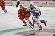 TIGERS - ZSC