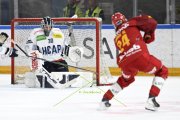 AMBRI - TIGERS