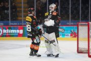 BERN - ZSC